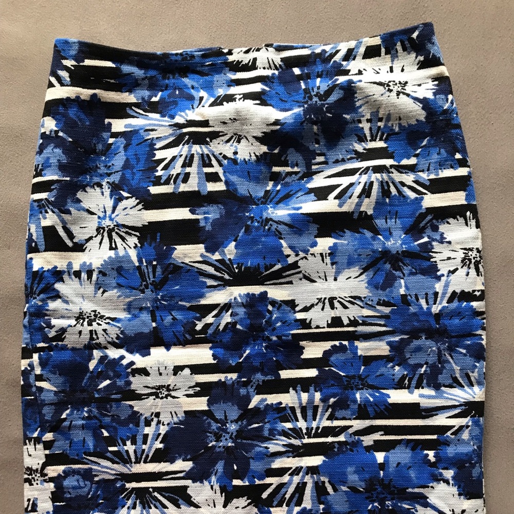 Ann taylor skirt